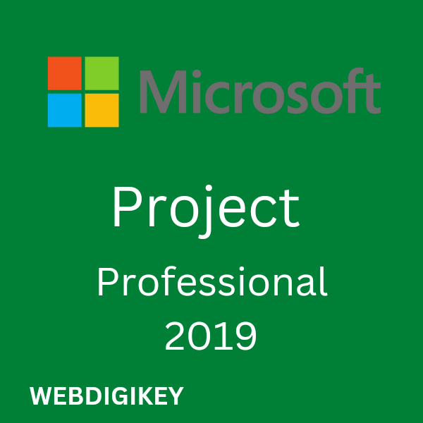 Project Professional 2019 Pro License Key